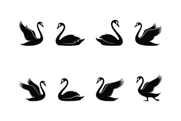 White Swan Silhouette  Vector Clipart in Various Poses on Black 