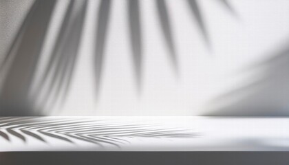 A minimalist scene featuring the shadow of palm fronds cast on a white surface