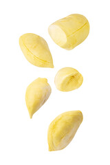 Falling Durian, cutout, full depth of field.