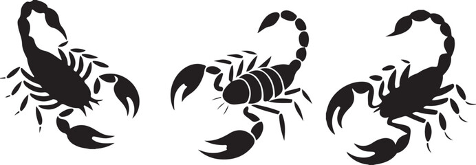 Obraz premium Scorpion silhouettes