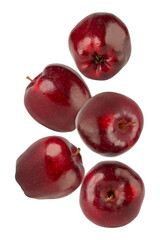 Falling Red Apple cutout, full depth of field.