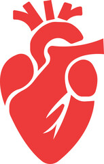 Anatomical heart icon.Human anatomy internal organ set with brain lung intestine heart kidney liver and stomatch.Healthy Cardiovascular Organ Symbol Collection on White Background and red.