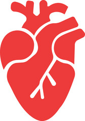 Anatomical heart icon.Human anatomy internal organ set with brain lung intestine heart kidney liver and stomatch.Healthy Cardiovascular Organ Symbol Collection on White Background and red.