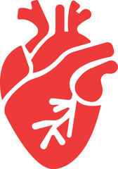 Anatomical heart icon.Human anatomy internal organ set with brain lung intestine heart kidney liver and stomatch.Healthy Cardiovascular Organ Symbol Collection on White Background and red.
