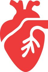 Anatomical heart icon.Human anatomy internal organ set with brain lung intestine heart kidney liver and stomatch.Healthy Cardiovascular Organ Symbol Collection on White Background and red.