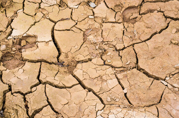 Dry cracked earth surface pattern.