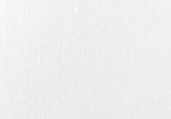 white canvas texture