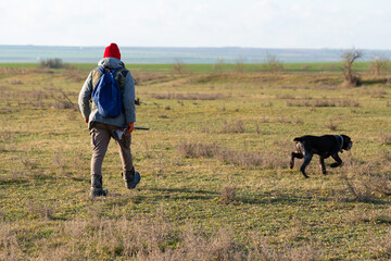 Mature hunter man holding a shotgun and walking through a field