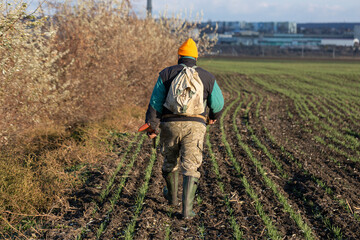 Mature hunter man holding a shotgun and walking through a field