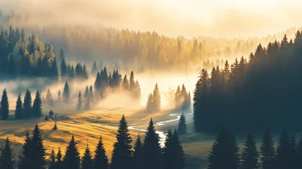 Misty sunrise over valley, sunlit trees, river.