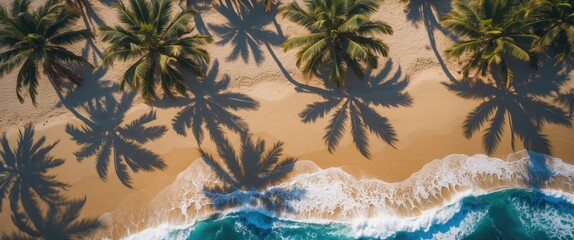Aerial View of Tropical Palm Trees Casting Shadows on Sandy Beach with Ocean Waves Surfing in Sunny Exotic Coastal Landscape
