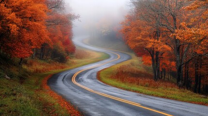 Naklejka premium A winding countryside road lined with orange and red trees, leading into a foggy autumn morning.
