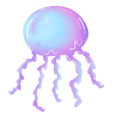  jellyfish