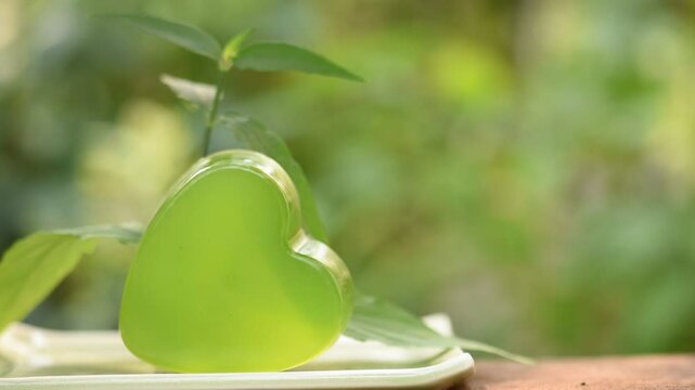 Glycerin soap mixed with Clinacanthus nutans (Burm.f.) Lindau branch green leaves and extract on natural background.