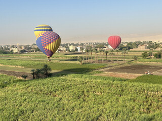 Crops on East bank with the hot air balloons in the morning, Egypt