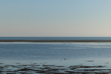 ambiente naturale costiero del Mare Adriatico con bassa marea, vicino al Golfo di Trieste, colorato...