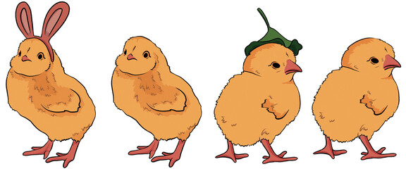 set of easter cute cartoon chick chickens isolate on a transparent background . easter, spring illustration, a cute yellow chicken with a green hat, and a chicken with rabbit ears