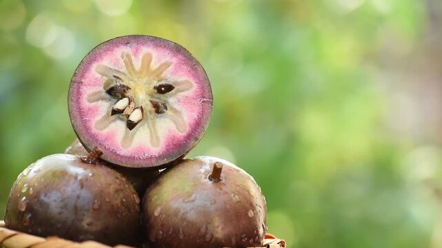 Star apple or Chrysophyllum cainito fruit on natural background.
