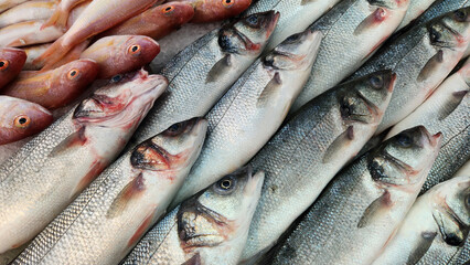 Fresh cooled sea bass on a fishmonger's stall