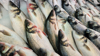 Fresh cooled sea bass on a fishmonger's stall