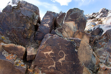 A breathtaking display of ancient Mongolian petroglyphs, etched into rock surfaces like a natural open-air gallery. These prehistoric carvings offer a glimpse into early nomadic life and culture.