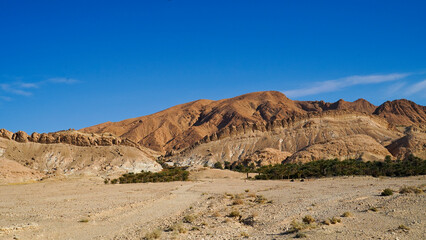Oasi di Chebica con la sorgente di acqua potabile e l'antico villaggio Berbero. provincia di Tozeur,Tunisia