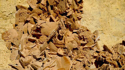 Oasi di Chebica con la sorgente di acqua potabile e l'antico villaggio Berbero. provincia di Tozeur,Tunisia