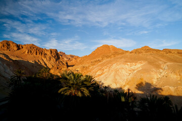 Oasi di Chebica con la sorgente di acqua potabile e l'antico villaggio Berbero. provincia di Tozeur,Tunisia