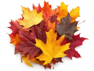 Fototapeta premium Vibrant autumn leaves create a tapestry of colors on a crisp fall afternoon