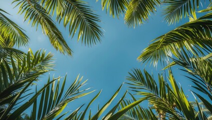 Fototapeta premium Tropical Paradise Sky View Framed by Lush Palm Leaves with Bright Blue Background for Summer Inspired Designs and Text Placement