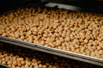 Roasted chickpeas cooling on baking trays in a warm kitchen, showcasing their golden-brown hue and...