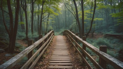 Tranquil Forest Bridge Pathway Surrounded By Lush Greenery With Space For Text Overlay In A Serene Natural Setting