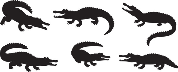 Alligator silhouettes