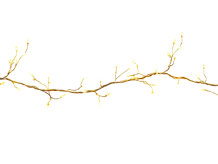 Isolated String Fairy Lights