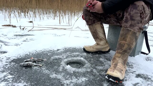 Ice fishing on frozen lake. Catching fish through an opening in the ice on a frozen body of water. Catching fish in a hole in the ice on frozen river. Winter fishing. Jigging with Small jigging rod. 