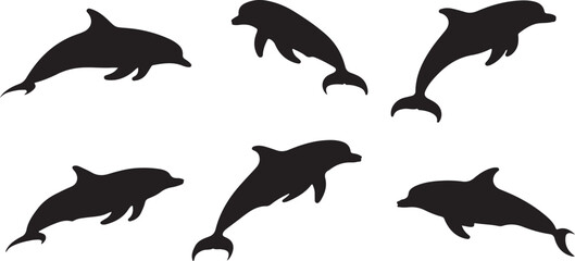 Obraz premium Dolphin silhouettes