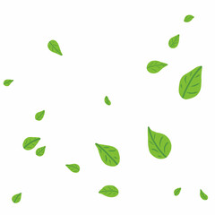 Green leaves fall in Spring