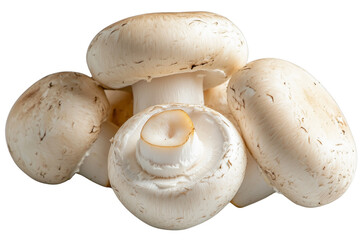 Fresh white button mushrooms, whole and sliced into thin pieces, isolated on a transparent background