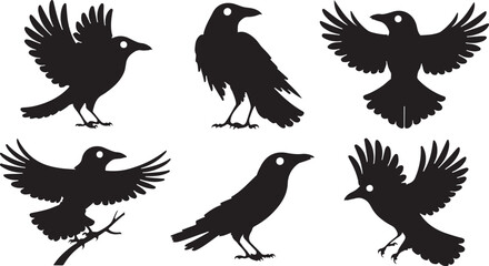 Obraz premium Crow silhouettes