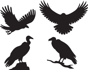 Fototapeta premium Vulture silhouettes