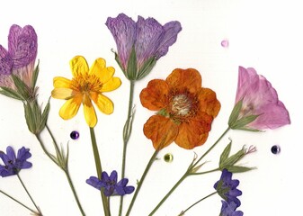 A display of fresh summer flowers on a white background.