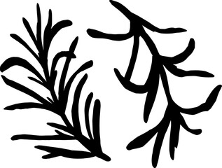 A sprig of rosemary with leaves on the stem. Rosemary Silhouette Set isolated on a white background The best for design logo, menu, label, icon, stamp