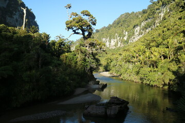 A winding river flowing through a lush valley in New Zealand, framed by rugged cliffs and rich vegetation. A stunning example of untouched natural beauty.
