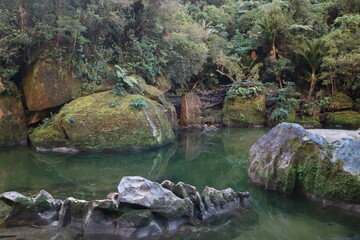 A hidden turquoise pool in a dense New Zealand forest, surrounded by mossy boulders and rich vegetation. A serene and mysterious nature retreat.
