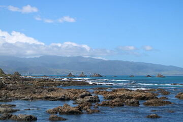 Immerse yourself in the raw beauty of New Zealand’s rugged coastline, where rocky shores meet the crystal-clear waters of the Pacific. 