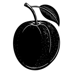 plum black silhouette vector, Simple silhouette Design vector icon with white background. Fruit silhouette vector