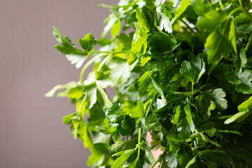 Vibrant green parsley leaves, perfect for culinary or health-related content.  Adds freshness to your designs!
