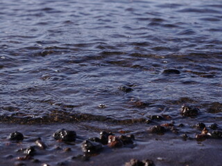 Das Wasser