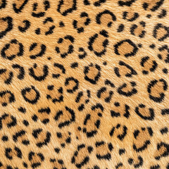 Print-ready pattern consisting of real animal textures