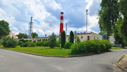 Behind the asphalt path and grassy lawn with bushes, thuja and pine trees growing on it are...